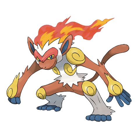pokemon infernape|infernape pokedb.